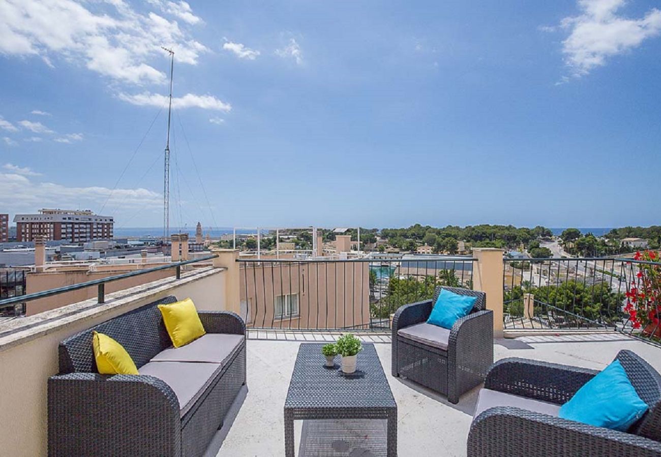 Apartment in Palma  - 201 - Apartamento con terraza